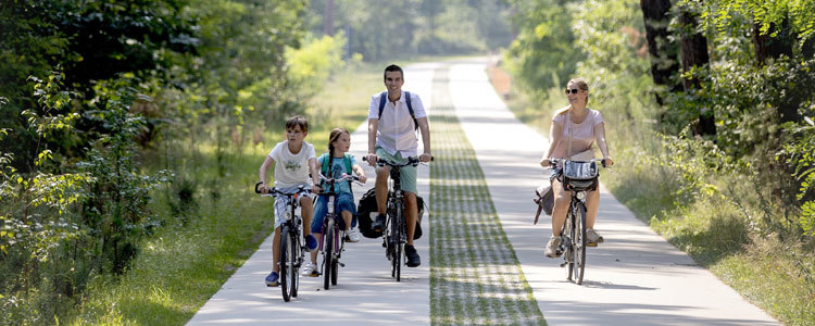 Fietsen in de Kempen