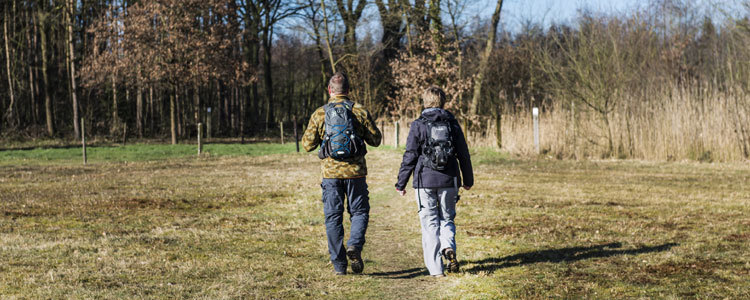 Randonnées en Campine