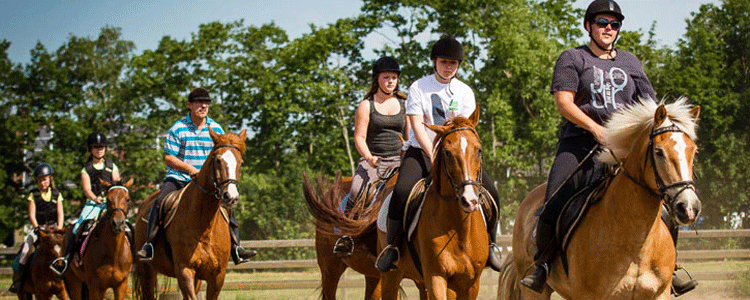 Ponyhoeve Turnhout vzw