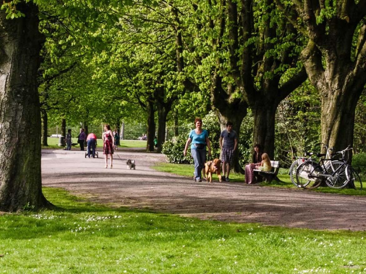 Parc de la ville