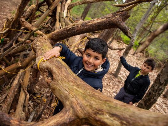 Twee jongens spelen naast een boom 
