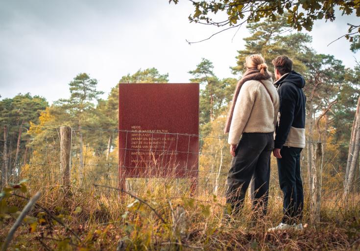 Koppel dat wandelt door het Vennengebied