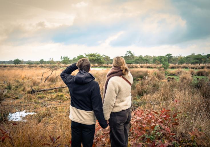 Koppel dat in de verte staart in de natuur