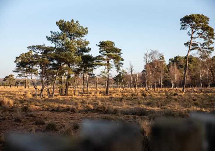 foto van het Vennengebied 