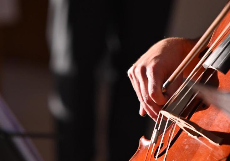 Een detailbeeld van een strijkinstrument