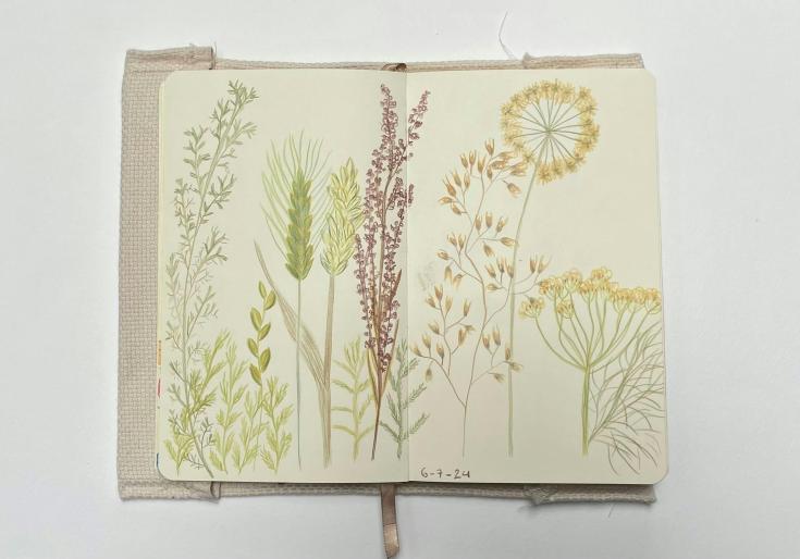 Art journal